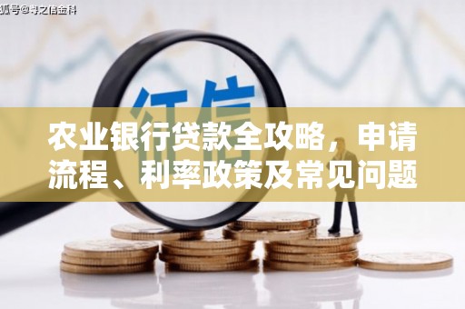 蕉城农业银行贷款全攻略，申请流程、利率政策及常见问题解析