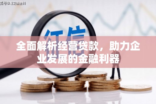 蕉城全面解析经营贷款，助力企业发展的金融利器