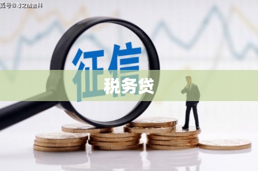 蕉城税务贷