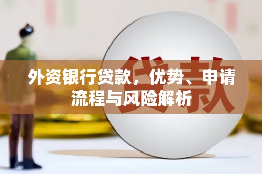 蕉城外资银行贷款，优势、申请流程与风险解析