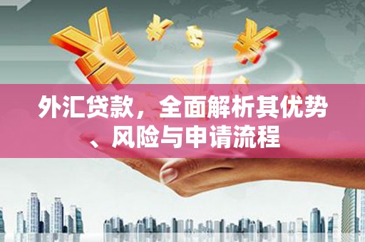 蕉城外汇贷款，全面解析其优势、风险与申请流程