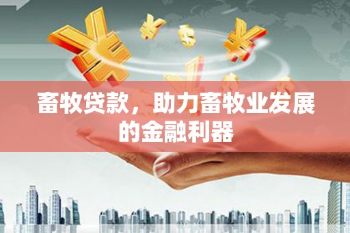 蕉城畜牧贷款，助力畜牧业发展的金融利器
