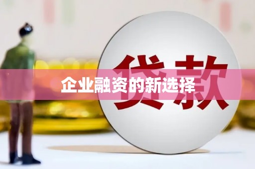 蕉城企业融资的新选择