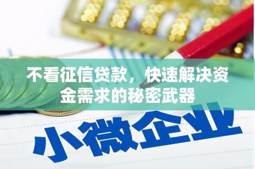 蕉城不看征信贷款，快速解决资金需求的秘密武器