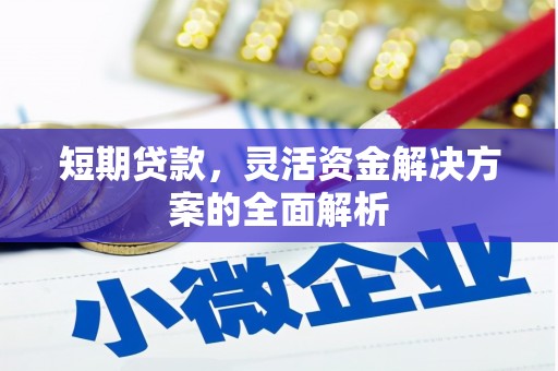 蕉城短期贷款，灵活资金解决方案的全面解析