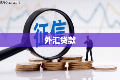 蕉城外汇贷款