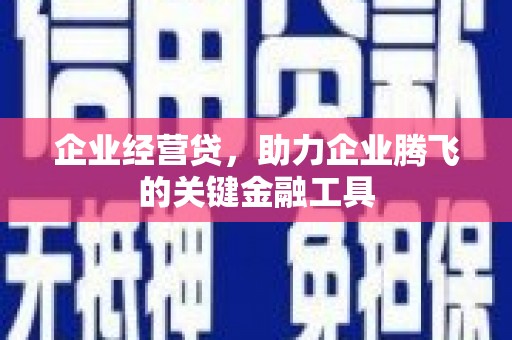 蕉城企业经营贷，助力企业腾飞的关键金融工具