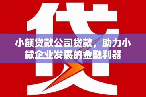 蕉城小额贷款公司贷款，助力小微企业发展的金融利器