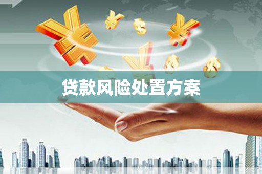 蕉城贷款风险处置方案