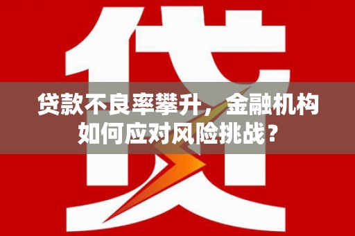 蕉城贷款不良率攀升，金融机构如何应对风险挑战？