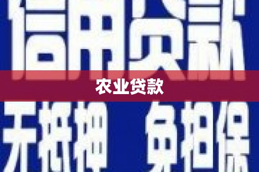 蕉城农业贷款