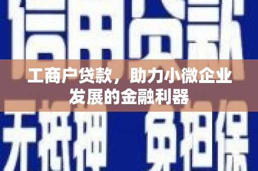 蕉城工商户贷款，助力小微企业发展的金融利器