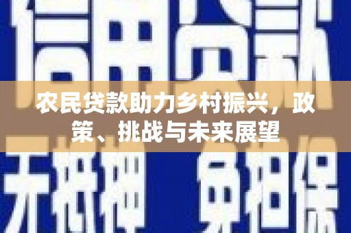 蕉城农民贷款助力乡村振兴，政策、挑战与未来展望