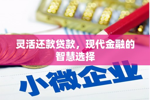 蕉城灵活还款贷款，现代金融的智慧选择