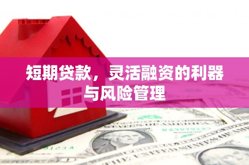 蕉城短期贷款，灵活融资的利器与风险管理