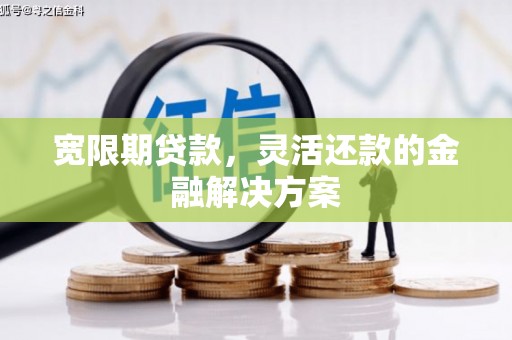 蕉城宽限期贷款，灵活还款的金融解决方案
