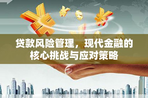 蕉城贷款风险管理，现代金融的核心挑战与应对策略