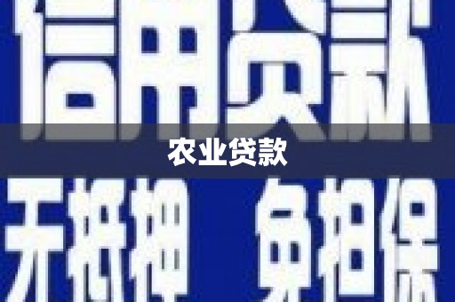 蕉城农业贷款