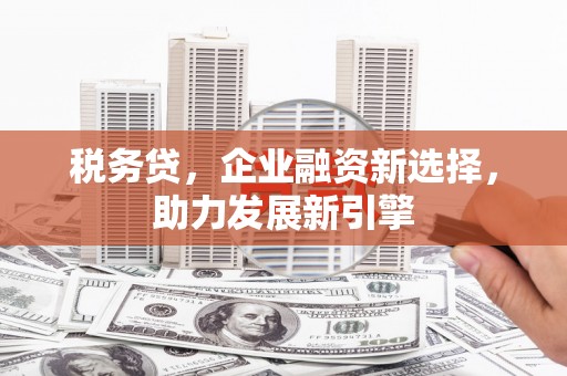 蕉城税务贷，企业融资新选择，助力发展新引擎