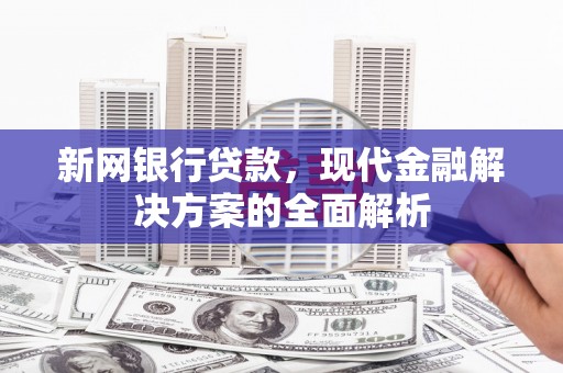 蕉城新网银行贷款，现代金融解决方案的全面解析