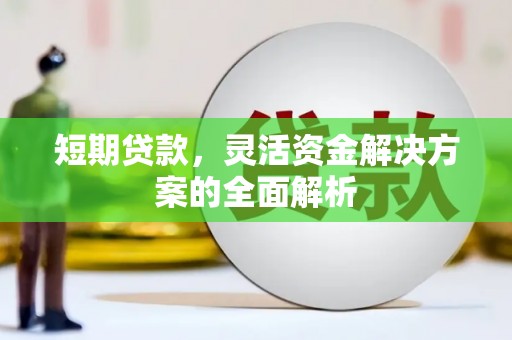 蕉城短期贷款，灵活资金解决方案的全面解析