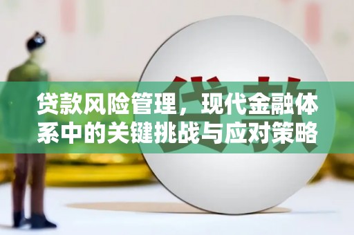 蕉城贷款风险管理，现代金融体系中的关键挑战与应对策略