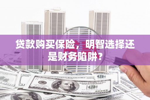 蕉城贷款购买保险，明智选择还是财务陷阱？