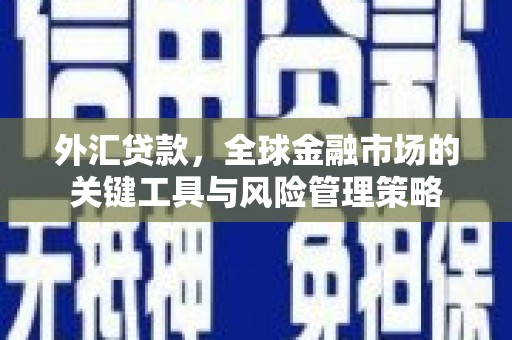 蕉城外汇贷款，全球金融市场的关键工具与风险管理策略