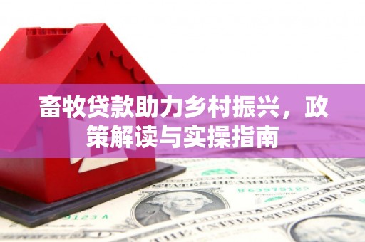 蕉城畜牧贷款助力乡村振兴，政策解读与实操指南