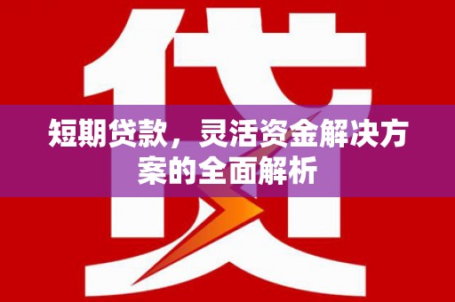 蕉城短期贷款，灵活资金解决方案的全面解析