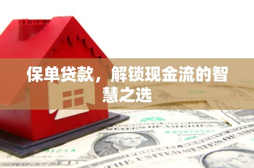 蕉城保单贷款，解锁现金流的智慧之选