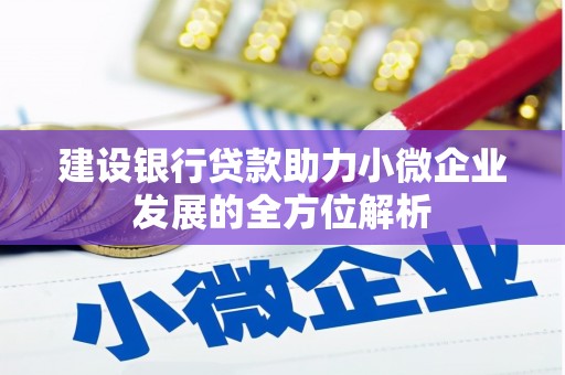 蕉城建设银行贷款助力小微企业发展的全方位解析