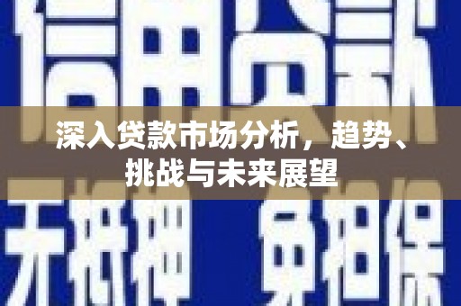 蕉城深入贷款市场分析，趋势、挑战与未来展望