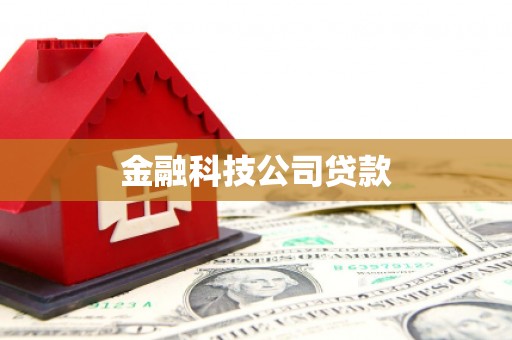 蕉城金融科技公司贷款