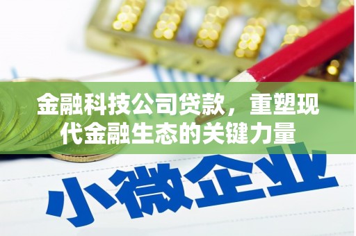 蕉城金融科技公司贷款，重塑现代金融生态的关键力量