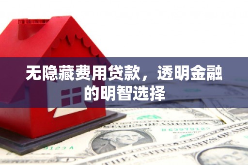 蕉城无隐藏费用贷款，透明金融的明智选择