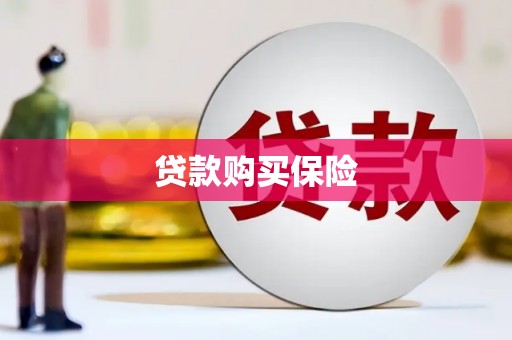 蕉城贷款购买保险