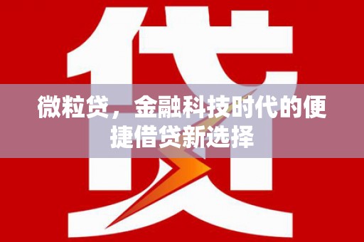 蕉城微粒贷，金融科技时代的便捷借贷新选择