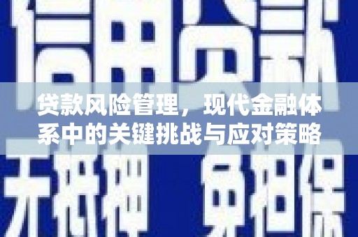 蕉城贷款风险管理，现代金融体系中的关键挑战与应对策略
