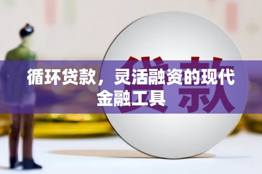 蕉城循环贷款，灵活融资的现代金融工具