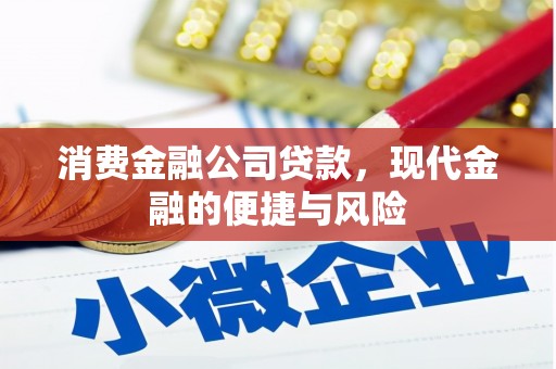 蕉城消费金融公司贷款，现代金融的便捷与风险