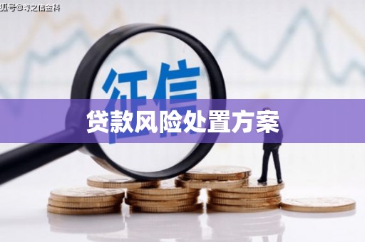 蕉城贷款风险处置方案