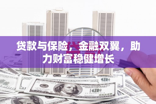 蕉城贷款与保险，金融双翼，助力财富稳健增长