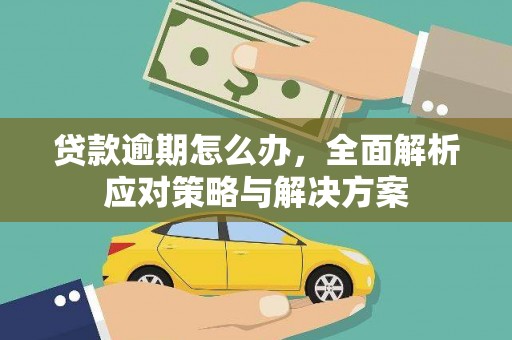 蕉城贷款逾期怎么办，全面解析应对策略与解决方案