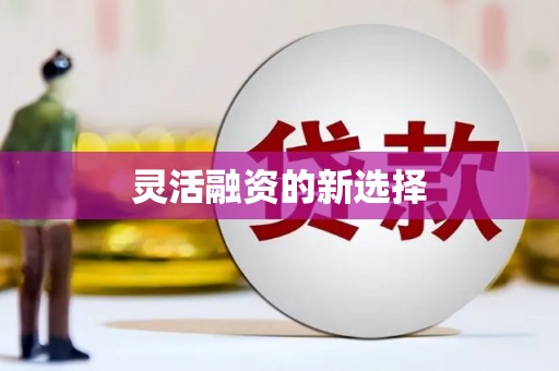 蕉城灵活融资的新选择