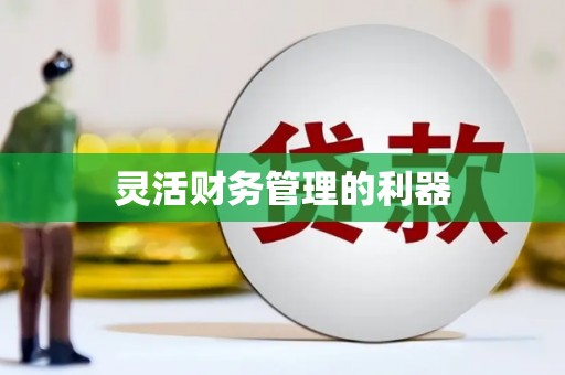 蕉城灵活财务管理的利器