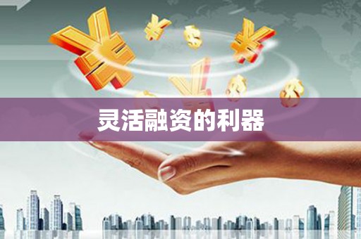 蕉城灵活融资的利器