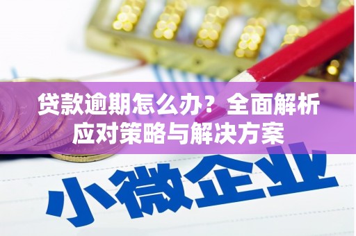 蕉城贷款逾期怎么办？全面解析应对策略与解决方案