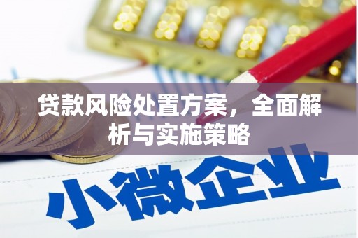 蕉城贷款风险处置方案，全面解析与实施策略